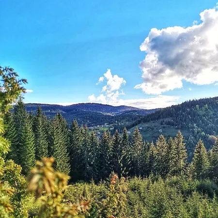 Forest Hill Kuca Za Odmor Na Zlataru Holiday home *