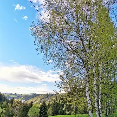 Forest Hill Kuca Za Odmor Na Zlataru * Nova Varos