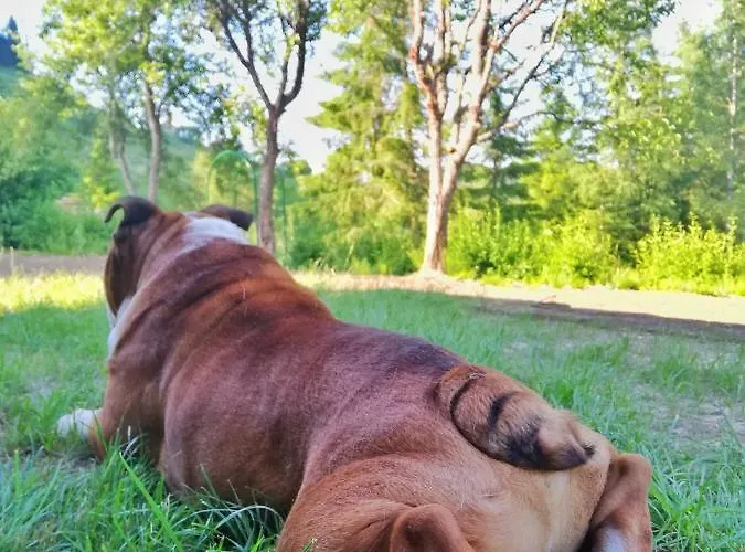 Forest Hill Kuca Za Odmor Na Zlataru