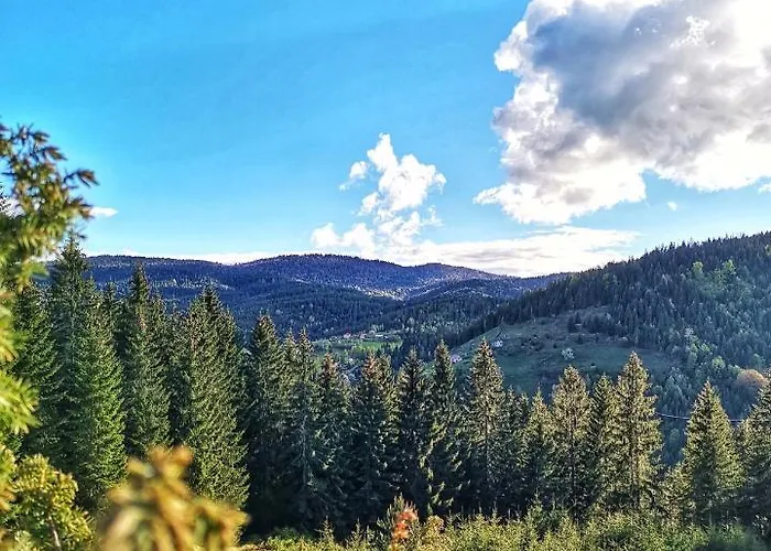 Forest Hill Kuca Za Odmor Na Zlataru 度假居 *